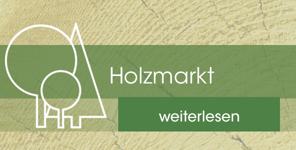 Holzmarkt