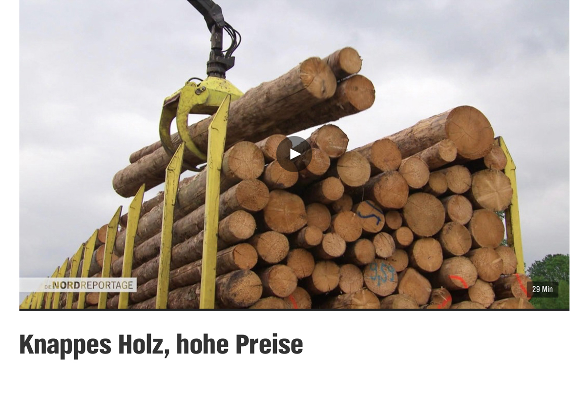 NDR Film - Knappes Holz, hohe Preise